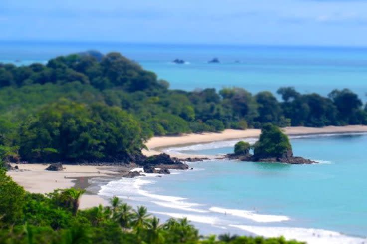 caribbean coral reef