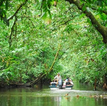 caribe fun tours